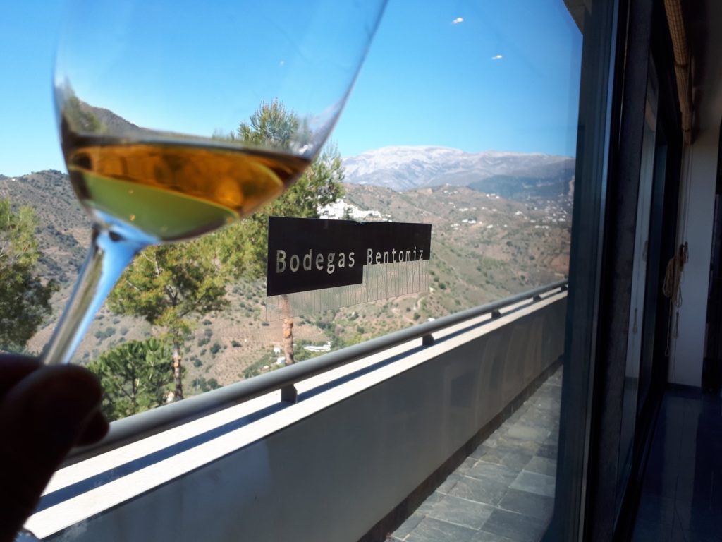 The image features the view from the award winning winery Bodegas Bentomiz in Sayalonga. Spain