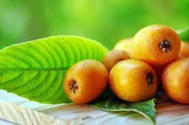 Featuring Nispero's also known as Loquats or Medlar fruit. The blog tells of Sayalonga in the Axarquia region of Spain, where this fruit is famous and even has it's own festival. El dia de Nispero.